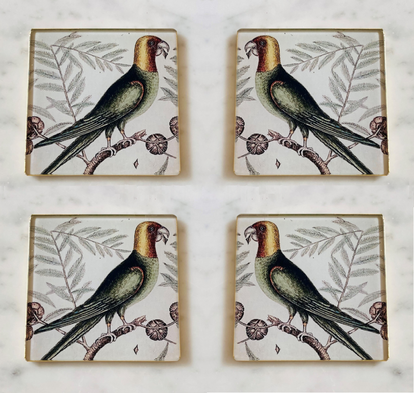 carolina parrot decoupage glass coasters set of four image