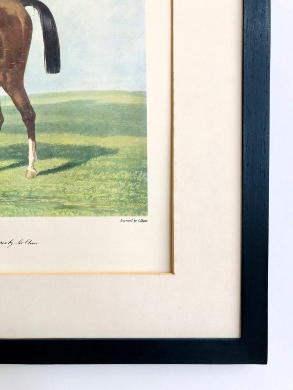 antique horse print racehorse Derby winner 1844