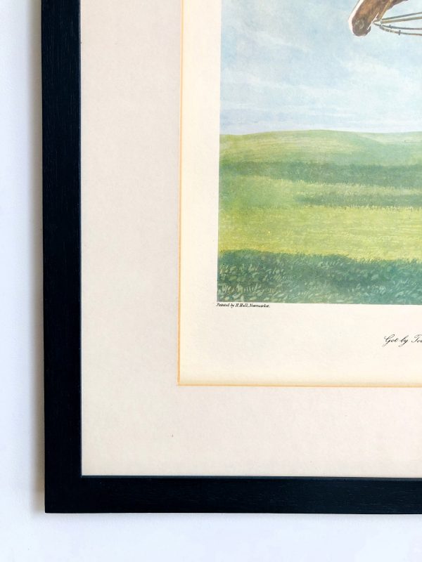 framed antique horse engraving picture