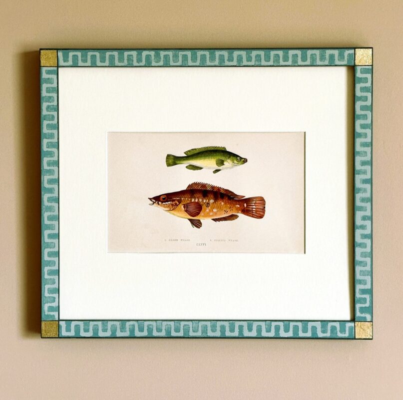 antique fish engraving by Jonathan Couch